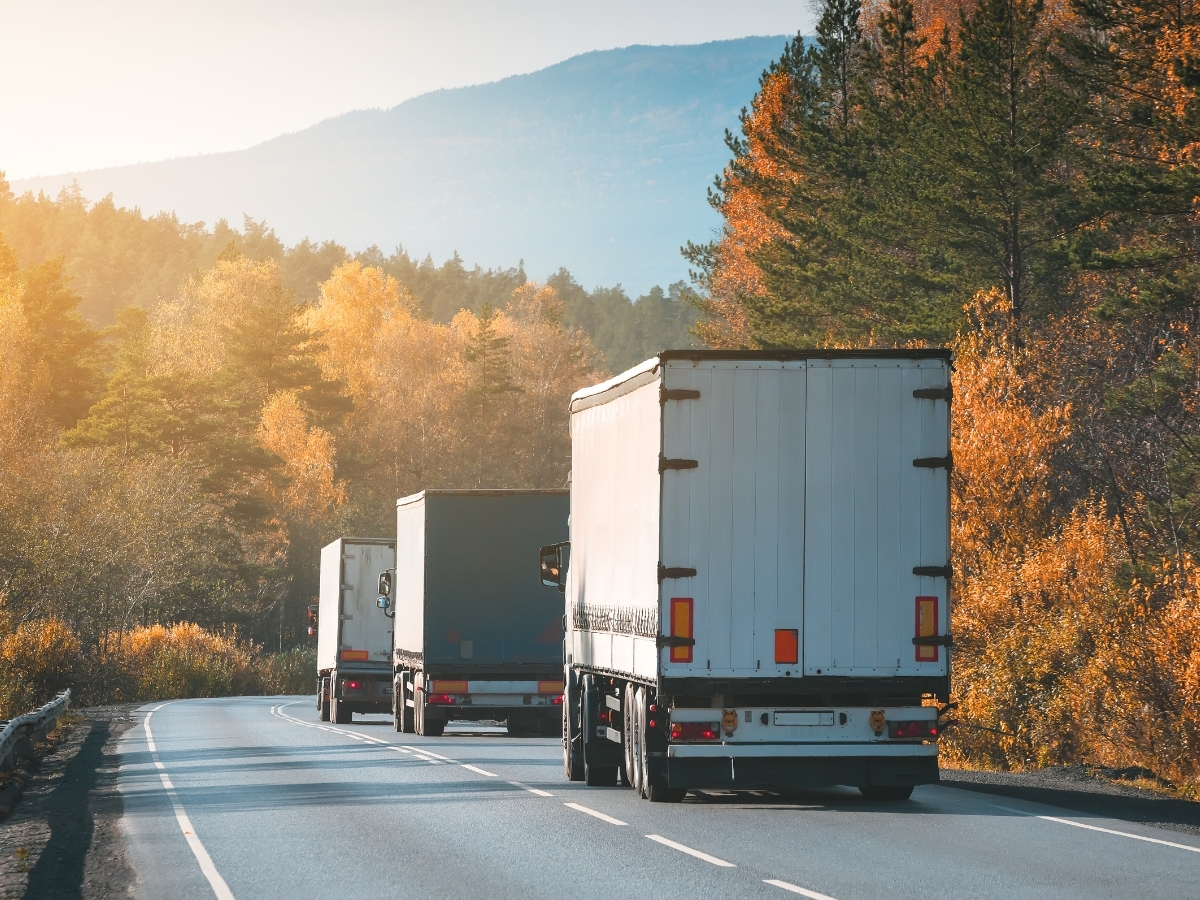 Prime Logistic Services